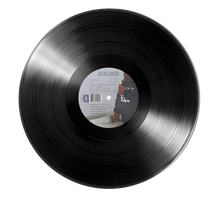 Load image into Gallery viewer, &quot;The Process&quot; 12&quot; Vinyl **PRE-ORDER ** by Kurt Solid &amp; Bronze Nazareth